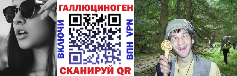 Псилоцибиновые грибы Psilocybine cubensis  как найти закладки  МЕГА   Петухово 